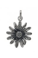 Charm Giovanni Raspini Donna Charms in Argento 06204 - 06204